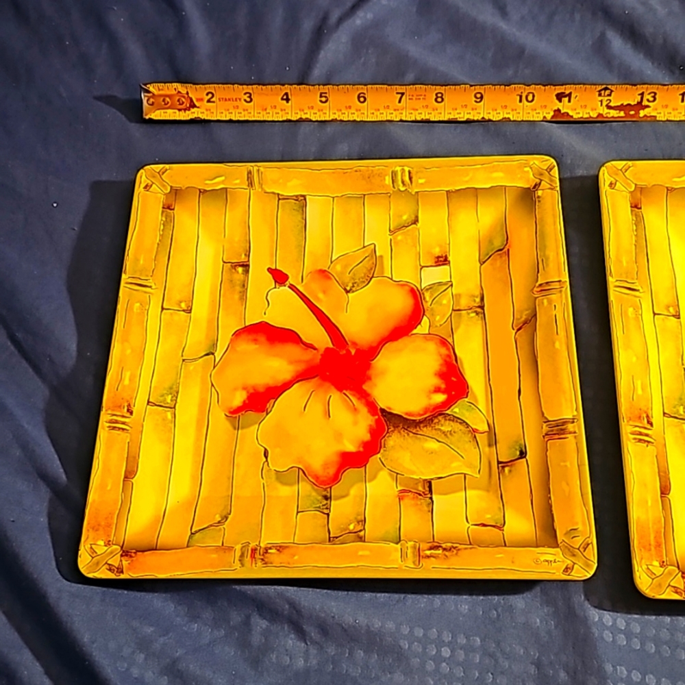 (2) Melamine plates 10"×10" made in China. Not for microwave but dishwasher safe